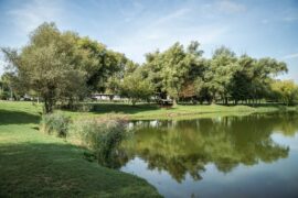 Kovács Koppány,Csallóköz,Idegenforgalom,Turizmus,Csallóköz Területi Idegenforgalmi Szűövetség