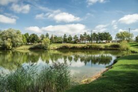 Kovács Koppány,Csallóköz,Idegenforgalom,Turizmus,Csallóköz Területi Idegenforgalmi Szűövetség