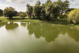 Kovács Koppány,Csallóköz,Idegenforgalom,Turizmus,Csallóköz Területi Idegenforgalmi Szűövetség