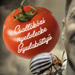 Szaval a jó öreg csallóközi