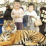 Szaval a jó öreg csallóközi