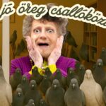 Szaval a jó öreg csallóközi