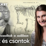 Ezt nem mondták a suliban