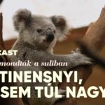 Ezt nem mondták a suliban