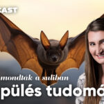 Ezt nem mondták a suliban