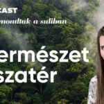 Ezt nem mondták a suliban