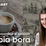 Ezt nem mondták a suliban